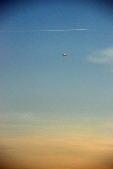DSC_4113.jpg