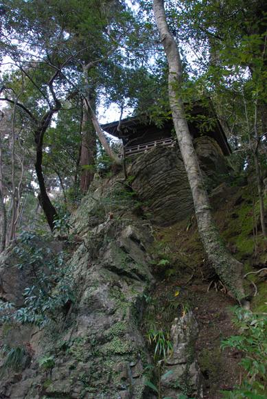 苔むした岩